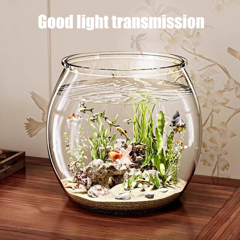 Clear Plastic round Fish Bowl  - Aquarium Fish Pot บทวิจารณ์และราคา