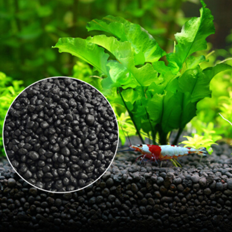 Aquarium Plant Seeds Soil Fish - Aquarium Fish Buy บทวิจารณ์และราคา