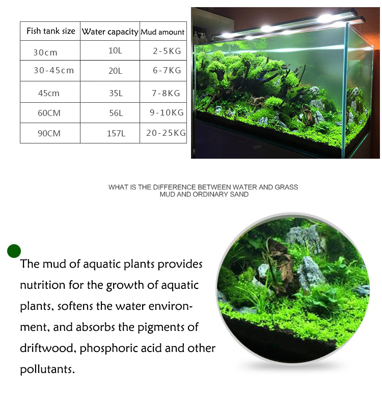 Aquarium Plant Seeds Soil Fish - Aquarium Fish Buy บทวิจารณ์และราคา