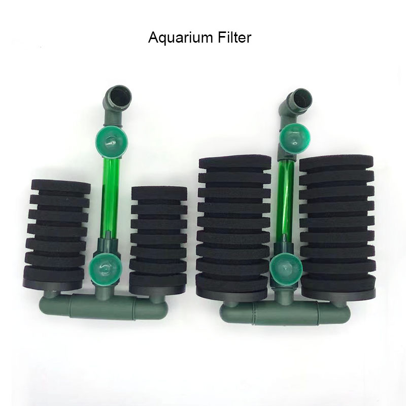 High Quality Green Aquarium Fi - Aquarium Fish Quality บทวิจารณ์และราคา