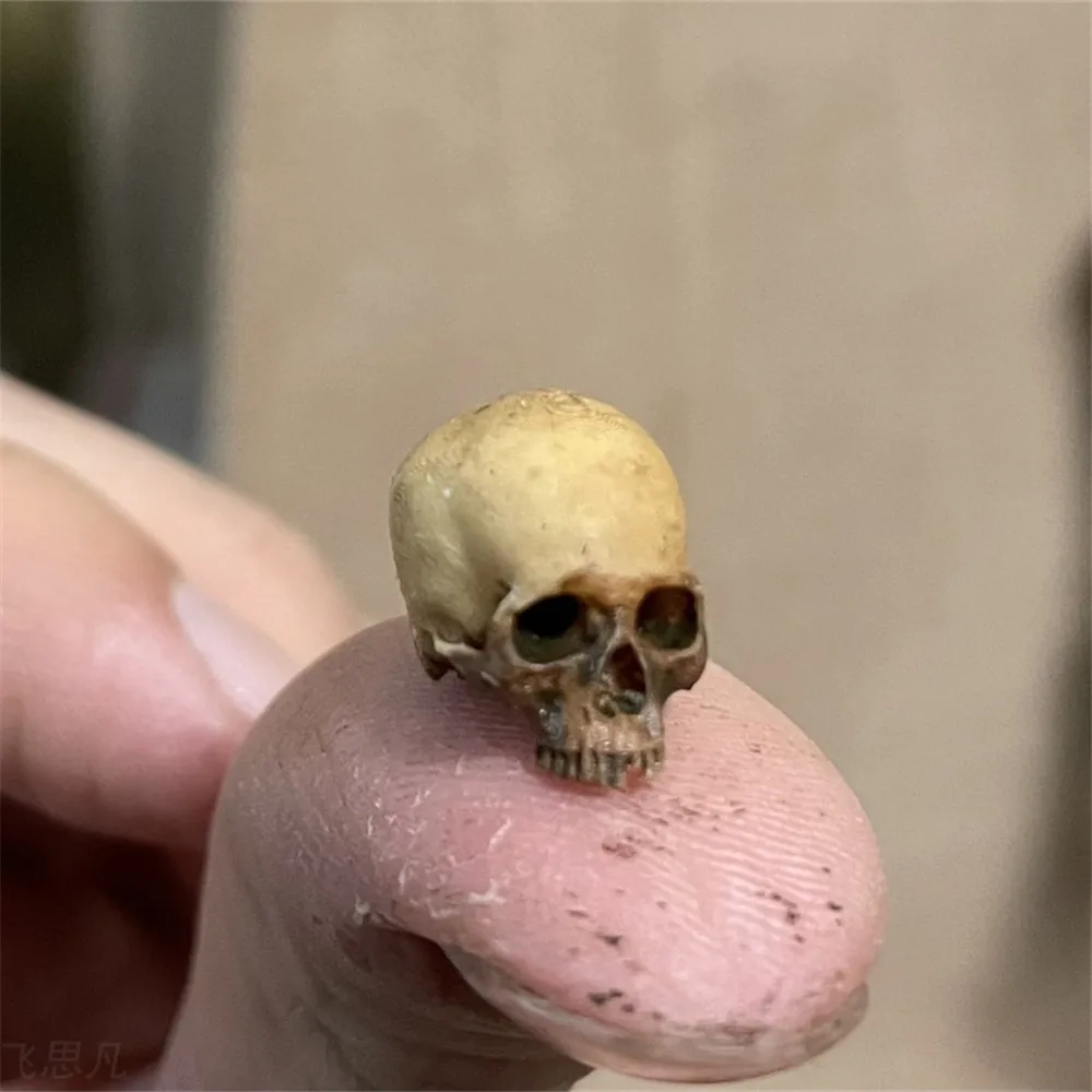 Mini Skull High Quality Miniat - Aquarium Fish Buy บทวิจารณ์และราคา