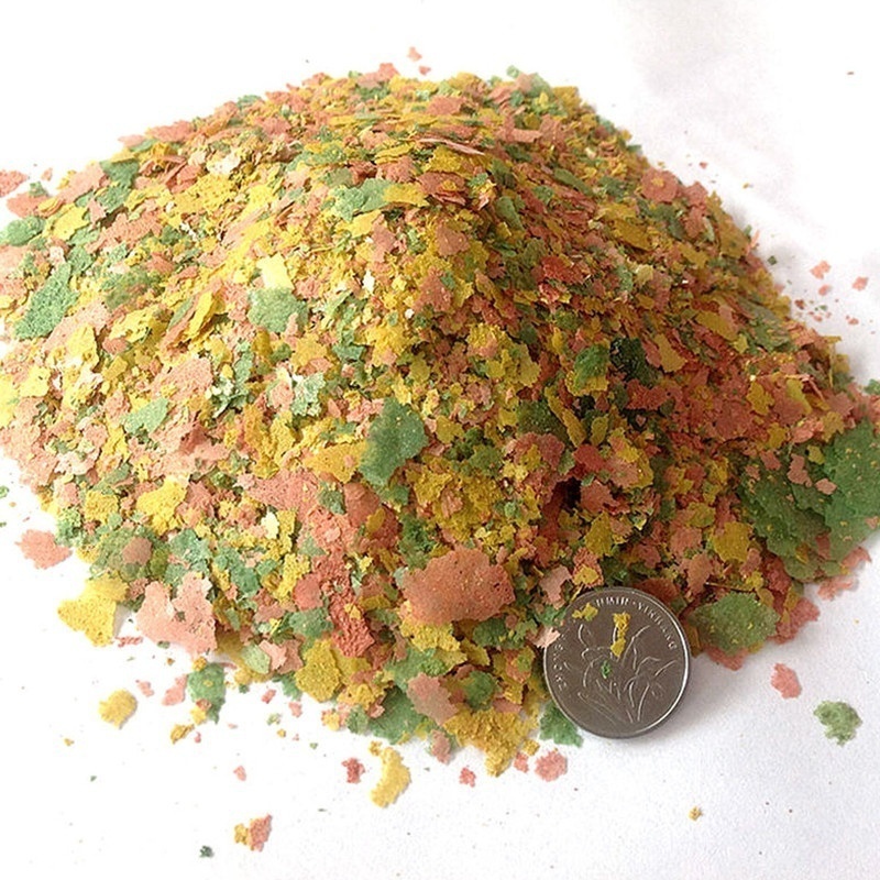 2026 Fresh Tropical Fish Flake - Fish Food Flake บทวิจารณ์และราคา