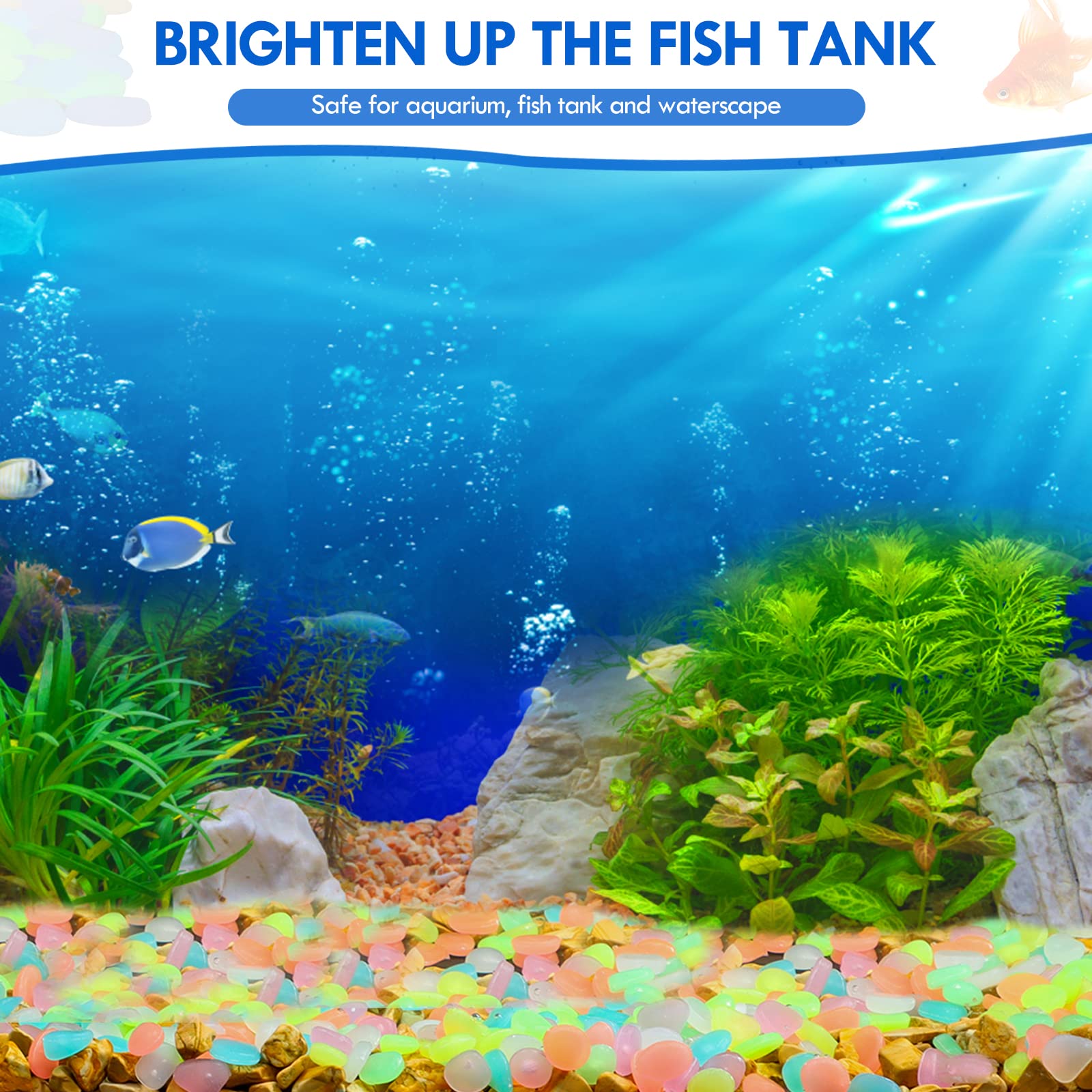 100Pcs Glow in the Dark Garden - Fish Aquarium Home บทวิจารณ์และราคา