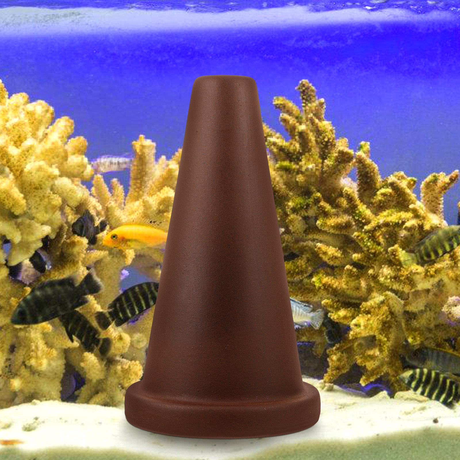 Fish Breeding Cone Cave Purple - Aquarium Fish Discus บทวิจารณ์และราคา