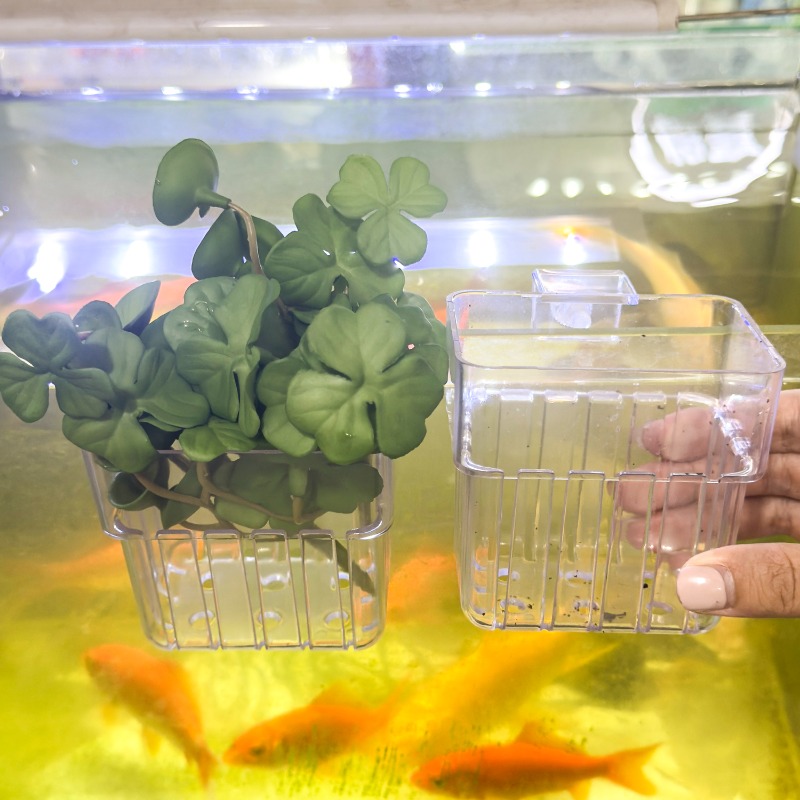 1/5pcs Aquarium Decoration Pla - Aquarium Fish Buy บทวิจารณ์และราคา