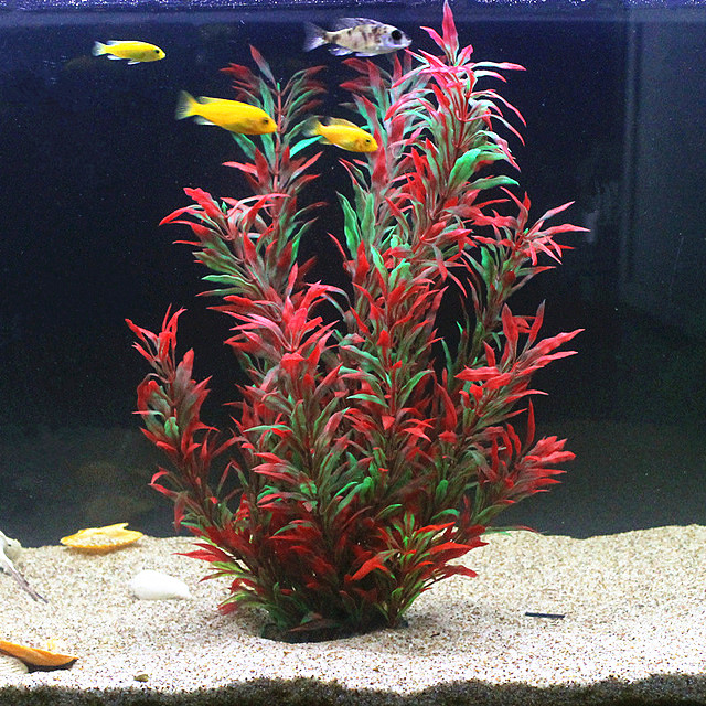 50CM Artificial Fish Tank Rare - Aquarium Fish Buy บทวิจารณ์และราคา