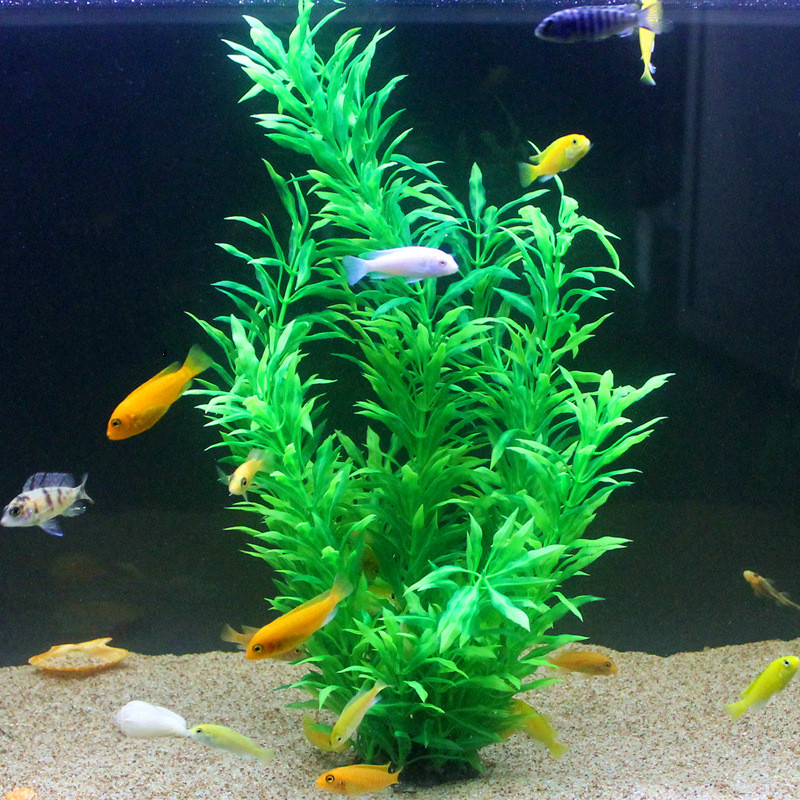50CM Artificial Fish Tank Rare - Aquarium Fish Buy บทวิจารณ์และราคา