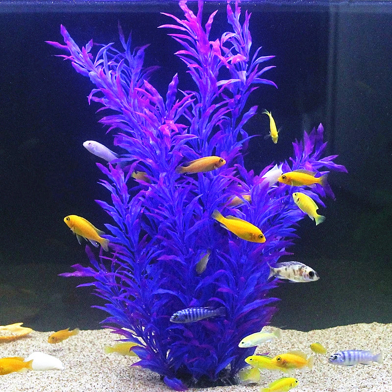 50CM Artificial Fish Tank Rare - Aquarium Fish Buy บทวิจารณ์และราคา