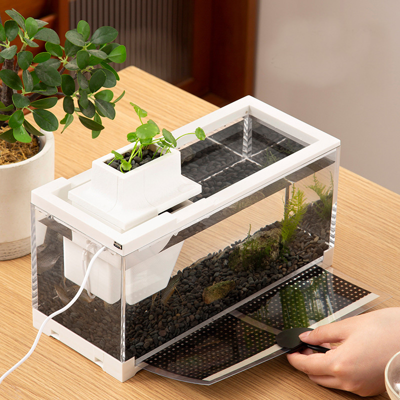 Fish Tank Aquarium Kits with W - Aquarium Fish Discus บทวิจารณ์และราคา