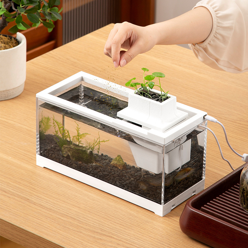Fish Tank Aquarium Kits with W - Aquarium Fish Discus บทวิจารณ์และราคา