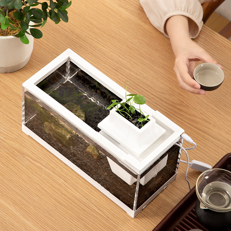 Fish Tank Aquarium Kits with W - Aquarium Fish Discus บทวิจารณ์และราคา