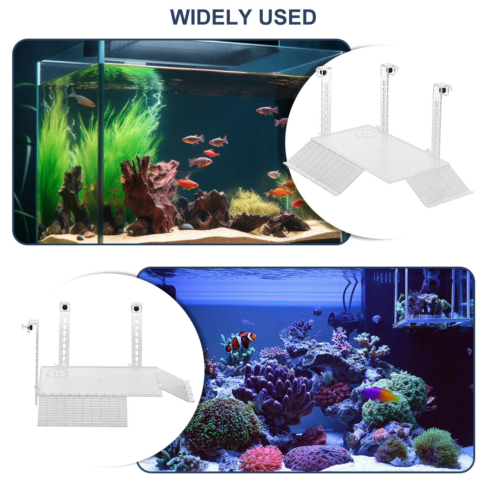 Adjustable Turtle Basking Plat - Aquarium Fish Buy บทวิจารณ์และราคา