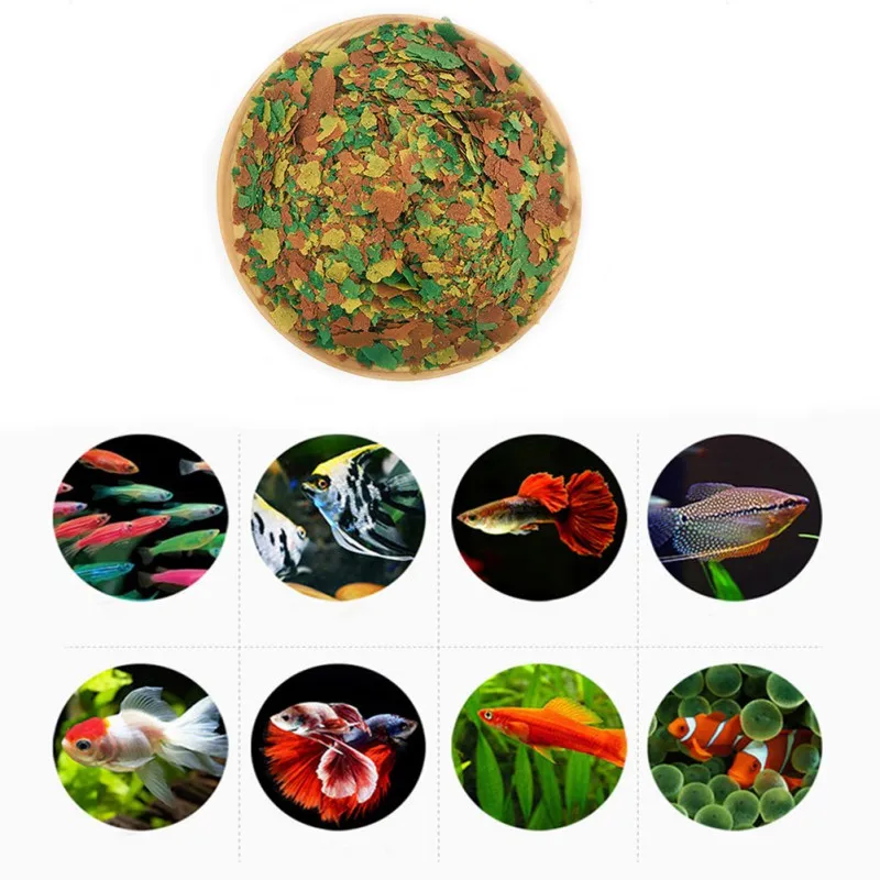 Fish Food Coloring and Brighte - Fish Food Flake บทวิจารณ์และราคา