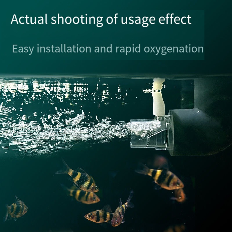 Oxygen Diffuser Pipe Filter At - Aquarium Fish Without Oxygen บทวิจารณ์และราคา