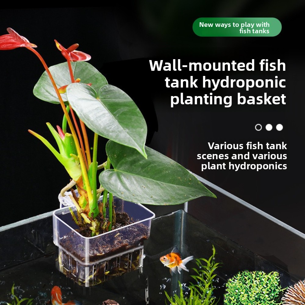 Aquarium Hydroponic Planting B - Aquarium Fish Pot บทวิจารณ์และราคา