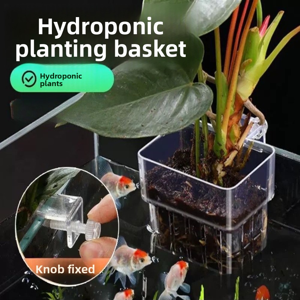 Aquarium Hydroponic Planting B - Aquarium Fish Pot บทวิจารณ์และราคา