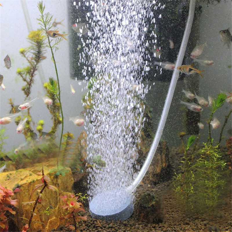 2Pcs Round Air Stone Disc Oxyg - Aquarium Fish Discus บทวิจารณ์และราคา