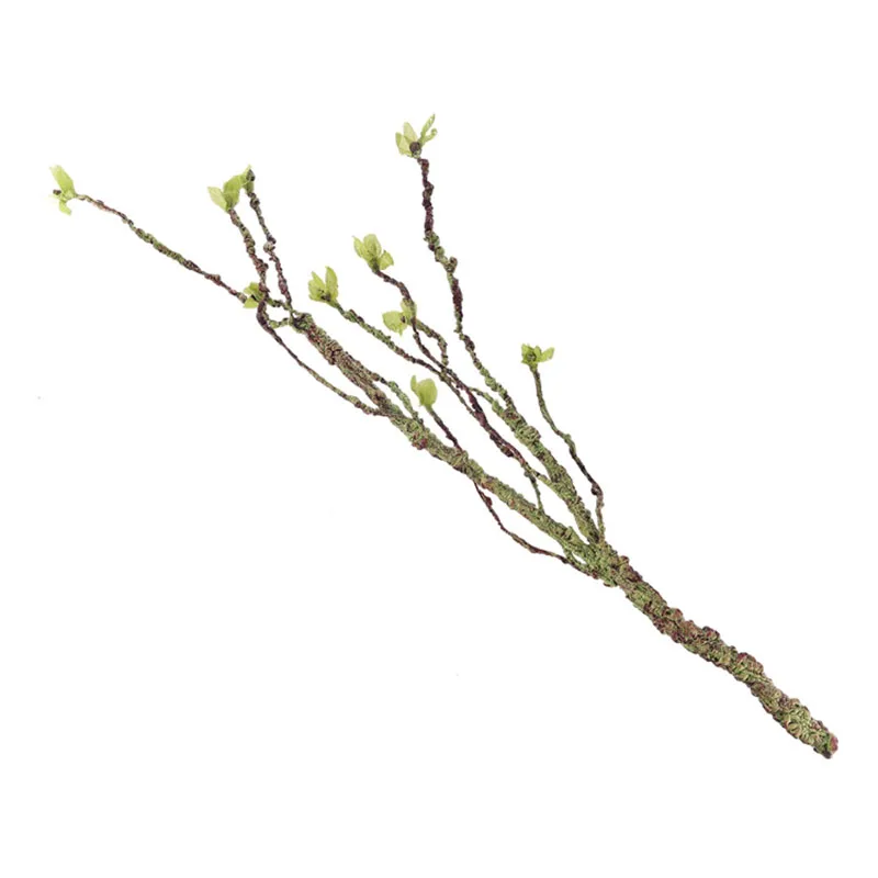 Vines Decor Climbing Branches  - Aquarium Fish Buy บทวิจารณ์และราคา