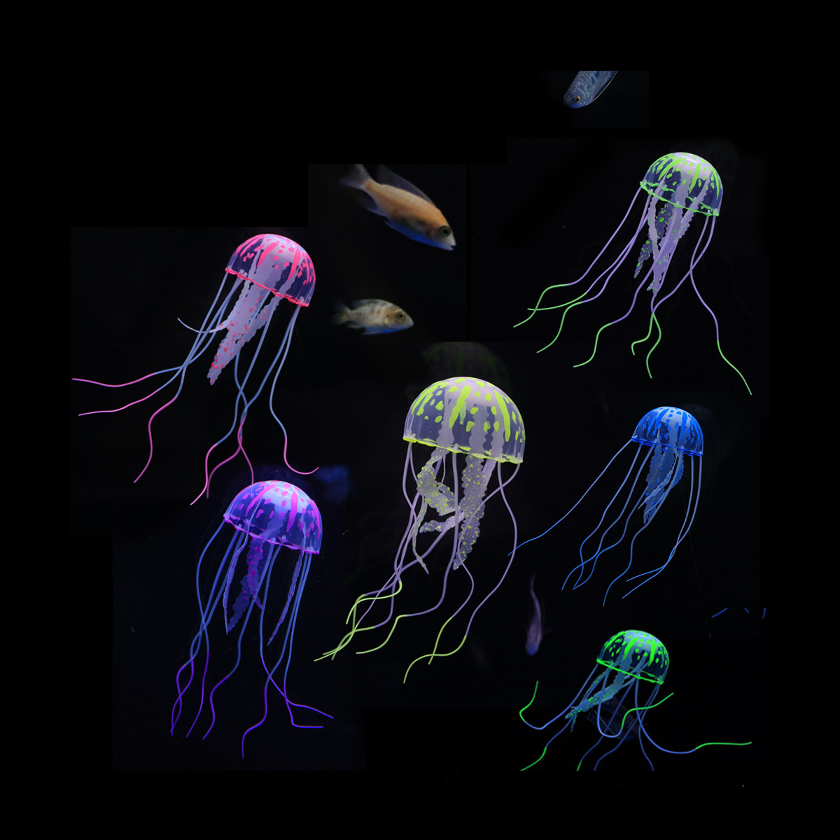 1 Pc Coral Moon Jellyfish Aqua - Aquarium Fish Discus บทวิจารณ์และราคา