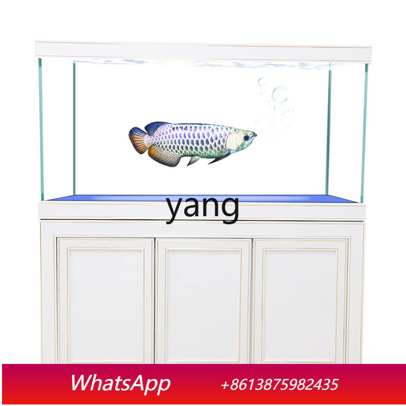 LH Super White Glass Medium an - Aquarium Fish Dragon บทวิจารณ์และราคา