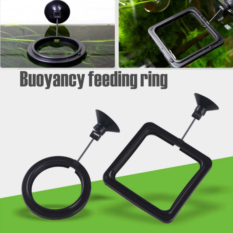 Aquarium Fish Feeding Ring Fis - Aquarium Fish Medicine บทวิจารณ์และราคา